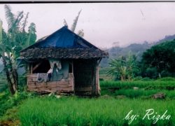 “Karena orang-orang yang lemah”