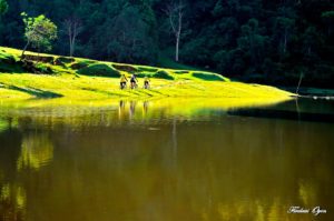 Shalat di Kebun dan Mendengar Adzan