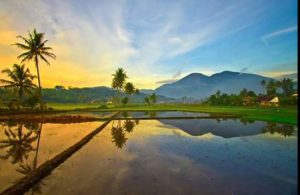 Tahni'ah Atas Putera Sorong