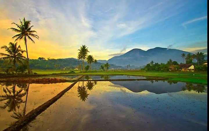 Tahni’ah Atas Putera Sorong