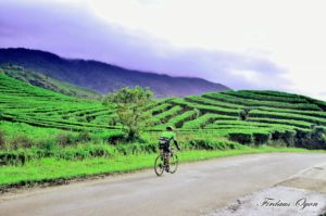 Catatan Hidup