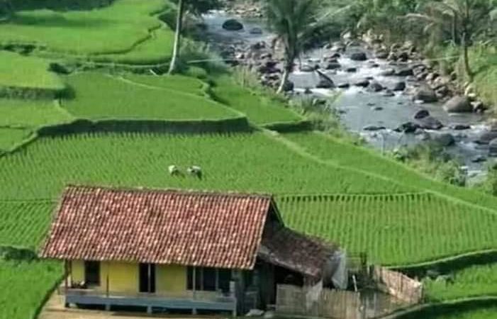 Wajibkah rumah dizakati, bolehkah piutang menjadi zakat?