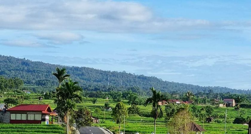 Dikecewakan Orang yang Kau Cinta?