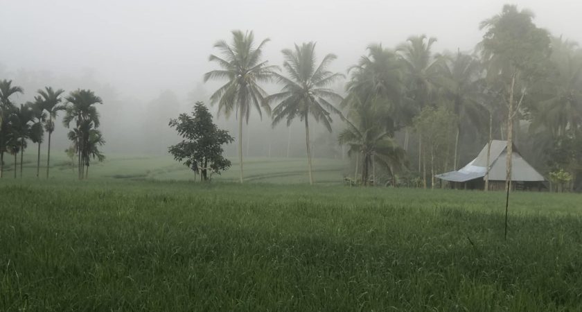 Kamu Da’i Bukan Qadhi