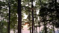 Manajemen Berhutang