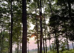 Manajemen Berhutang